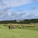 <h2>The 2023 British Isles Golf Cruise & The 151st Open</h2>12 Nights | 3-6 Rounds | Dublin - Edinburgh | July 20 – August 1 