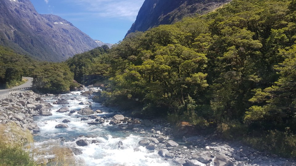 <h2>2019 New Zealand & Sydney Golf Cruise</h2>Azamara Quest (Jan)