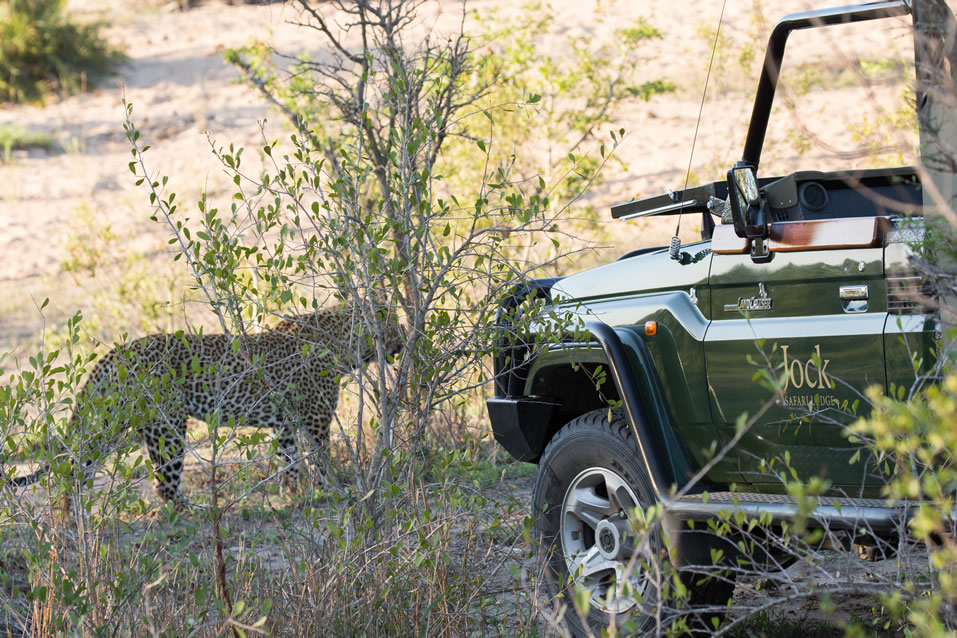 <h2>The Best of South Africa Escorted 2018</h2>Golf, Kruger Safari, Cape Town, the Winelands & Garden Route